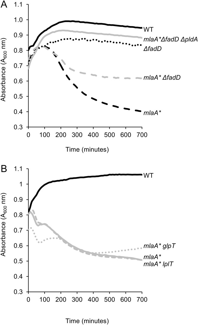 FIG 3 