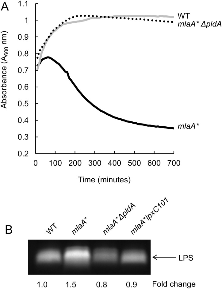 FIG 2 