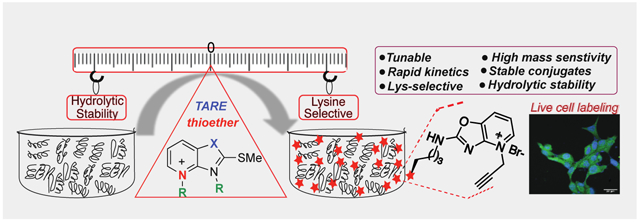 graphic file with name nihms-1756791-f0001.jpg