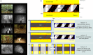 Illustration of the study design. Time-stamped camera trap images.