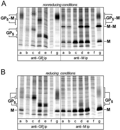 FIG. 4.