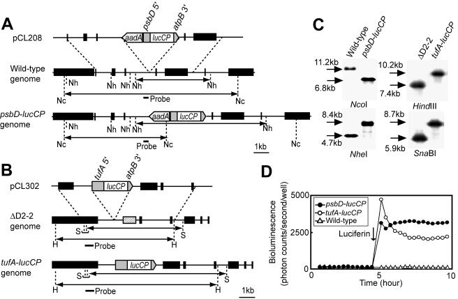 FIG. 2.