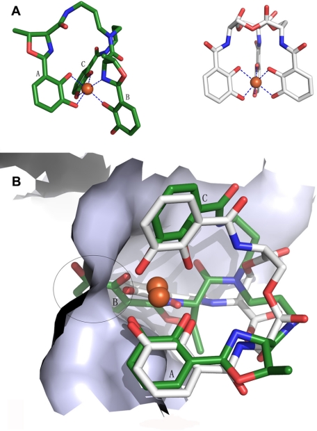 FIGURE 5.