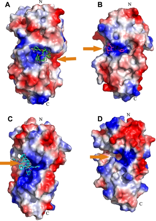 FIGURE 4.