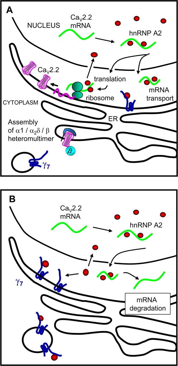 Figure 9.