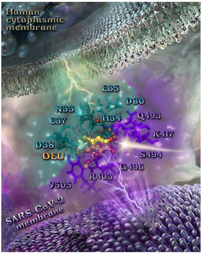 Figure 13