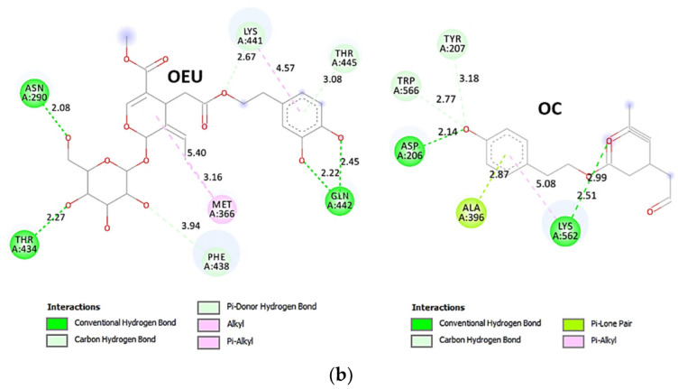 Figure 17