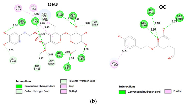 Figure 20