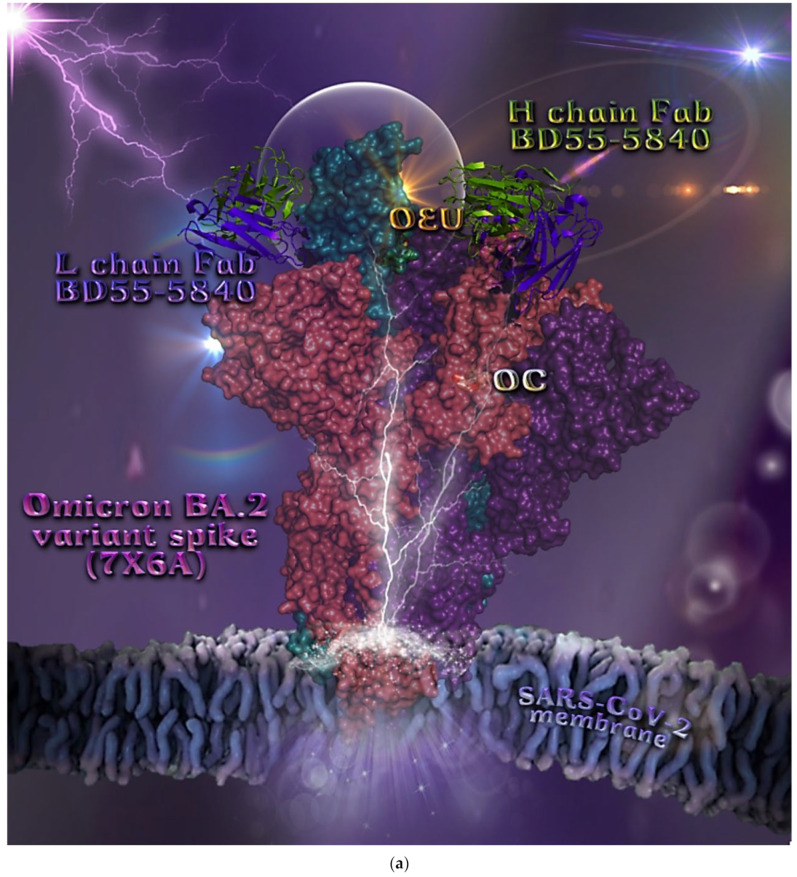 Figure 18