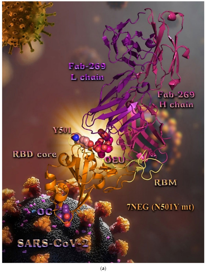 Figure 19