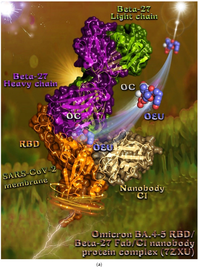 Figure 20