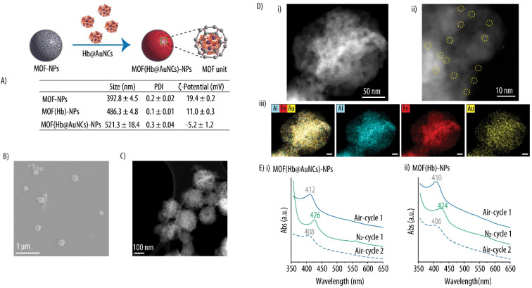 Fig. 10