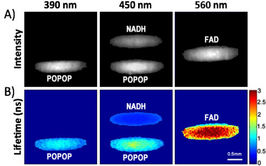 Fig. 2