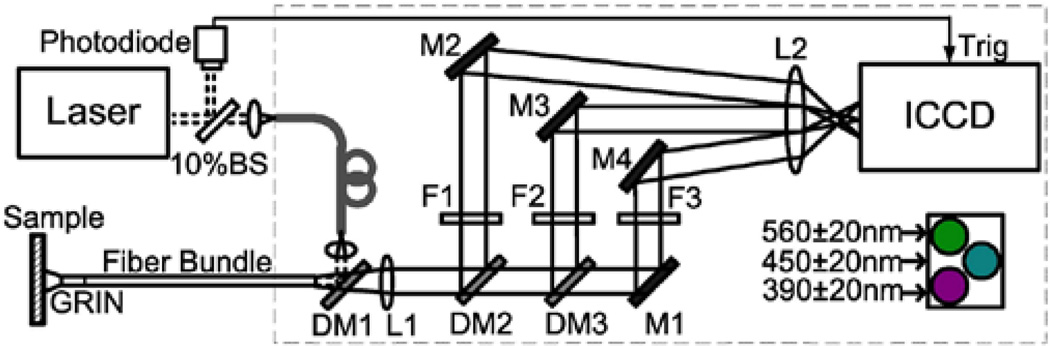 Fig. 1