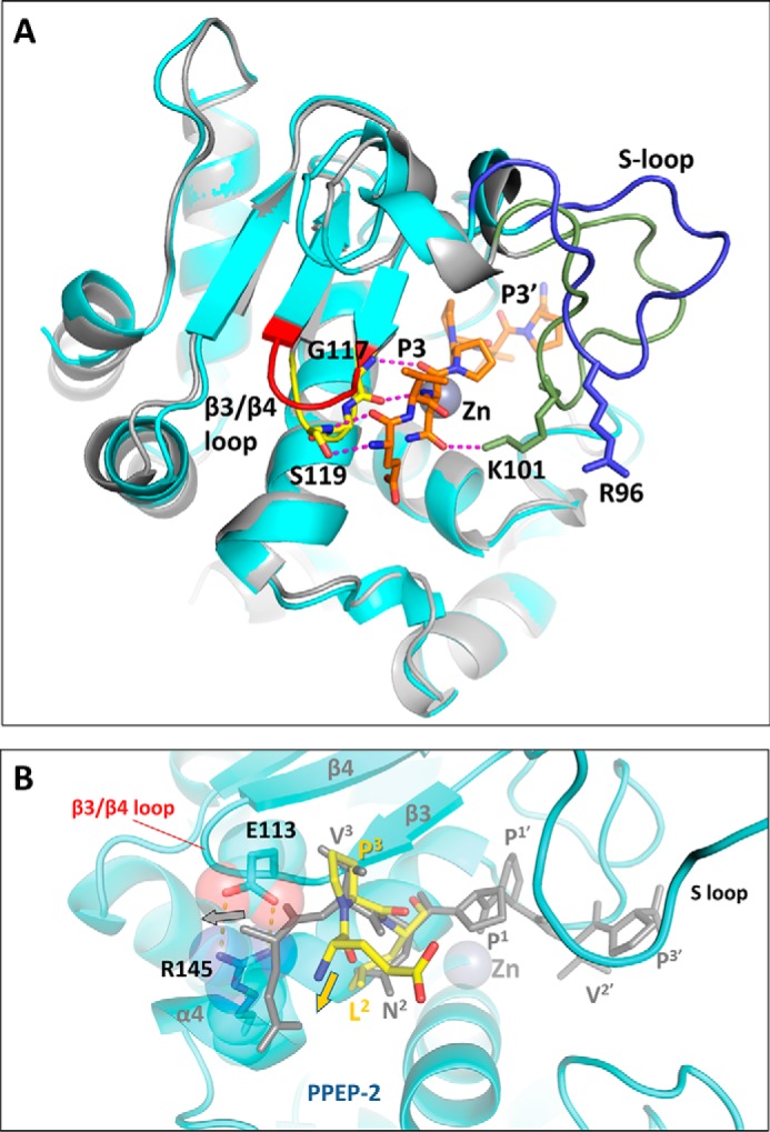 Figure 5.