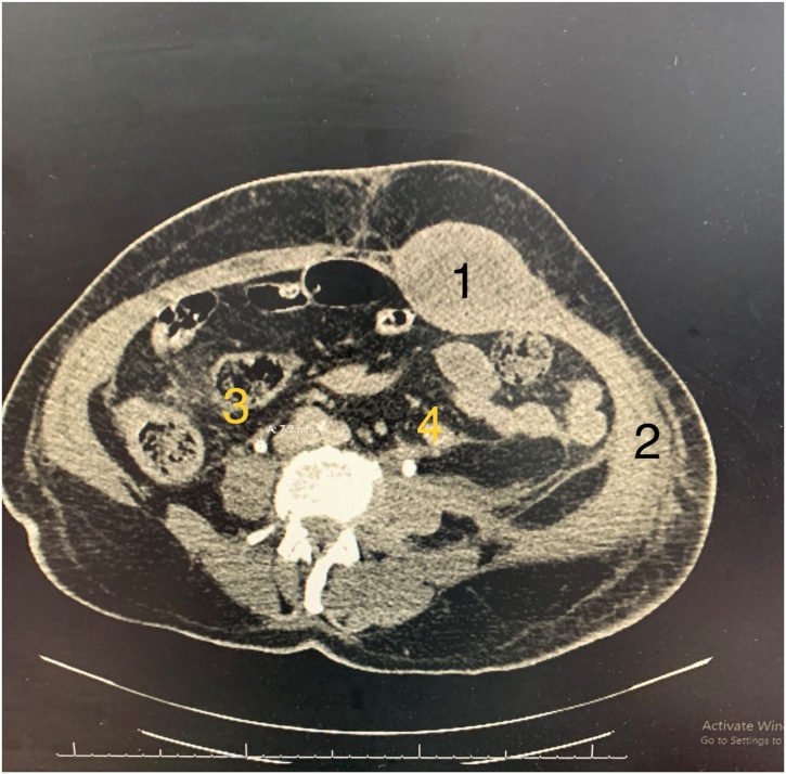 Fig. 5