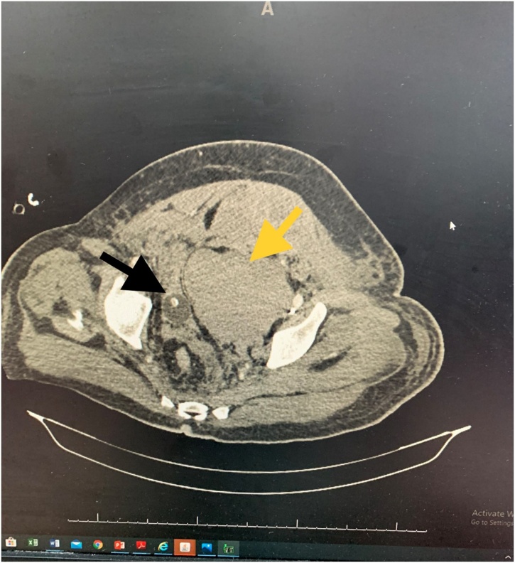 Fig. 6