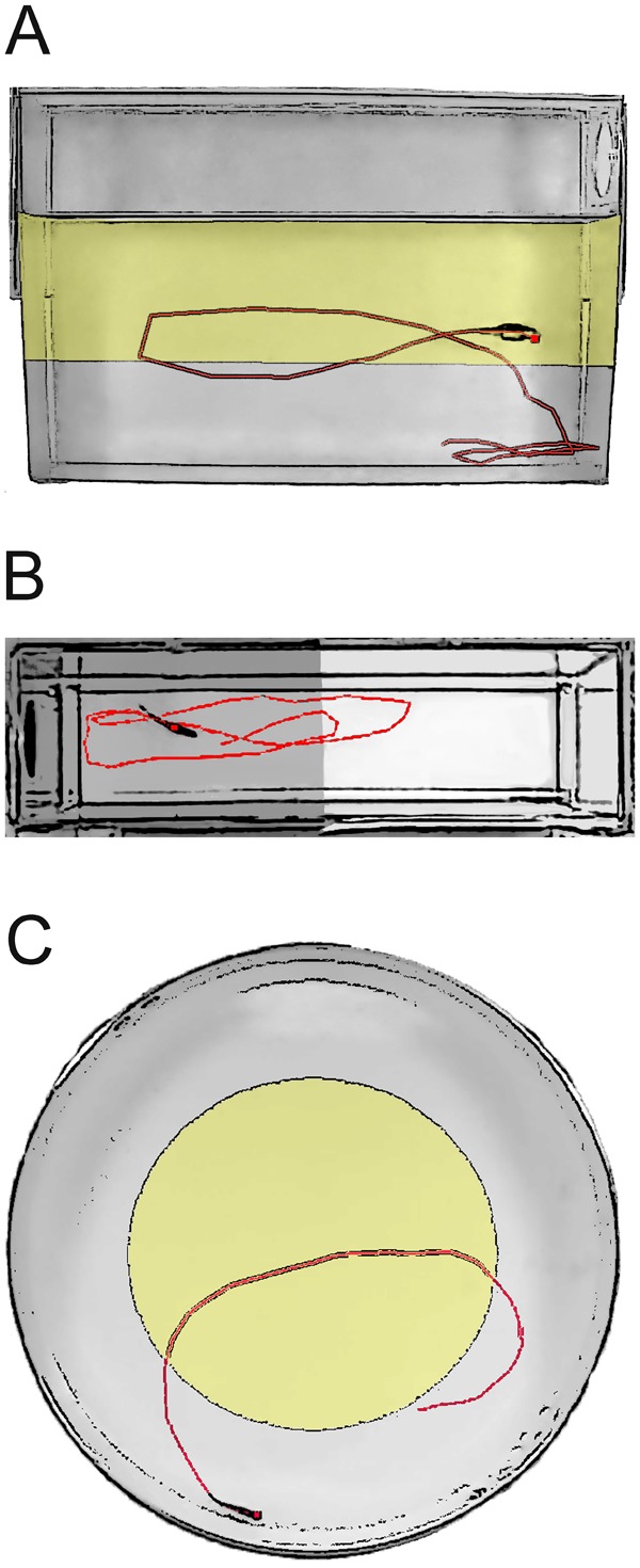 Figure 2.