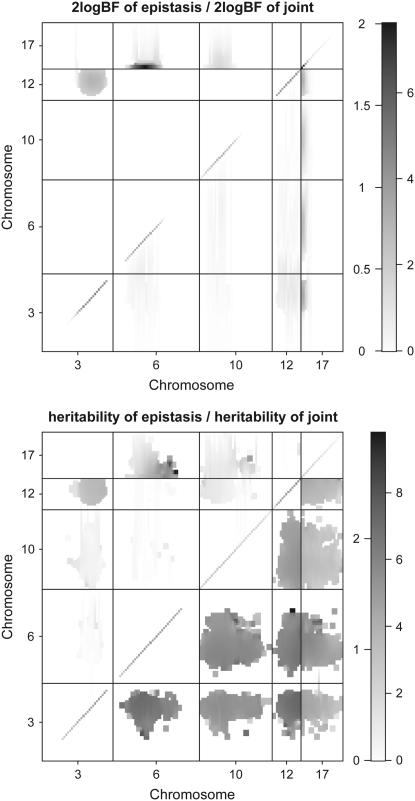 Figure 3.—