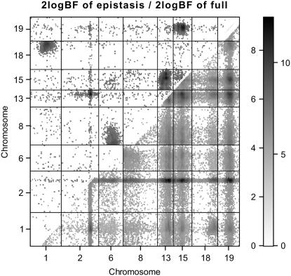 Figure 6.—