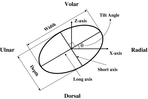 Figure 3