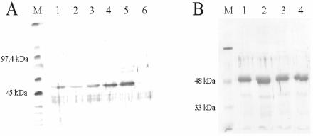 FIG. 3.