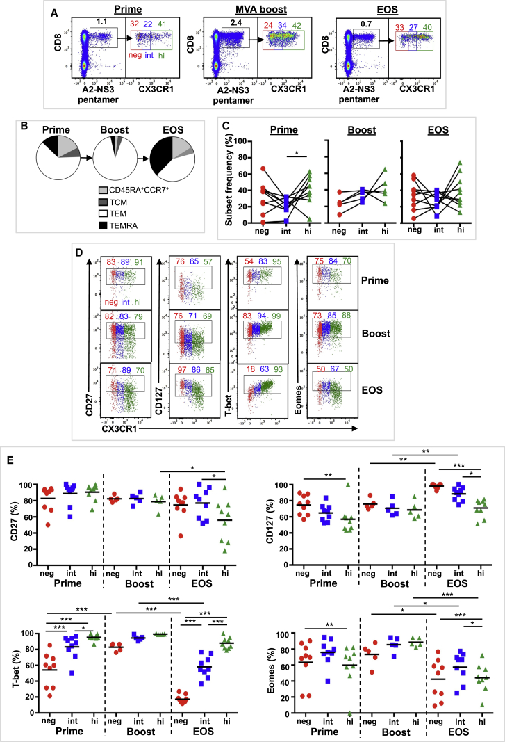 Figure 6