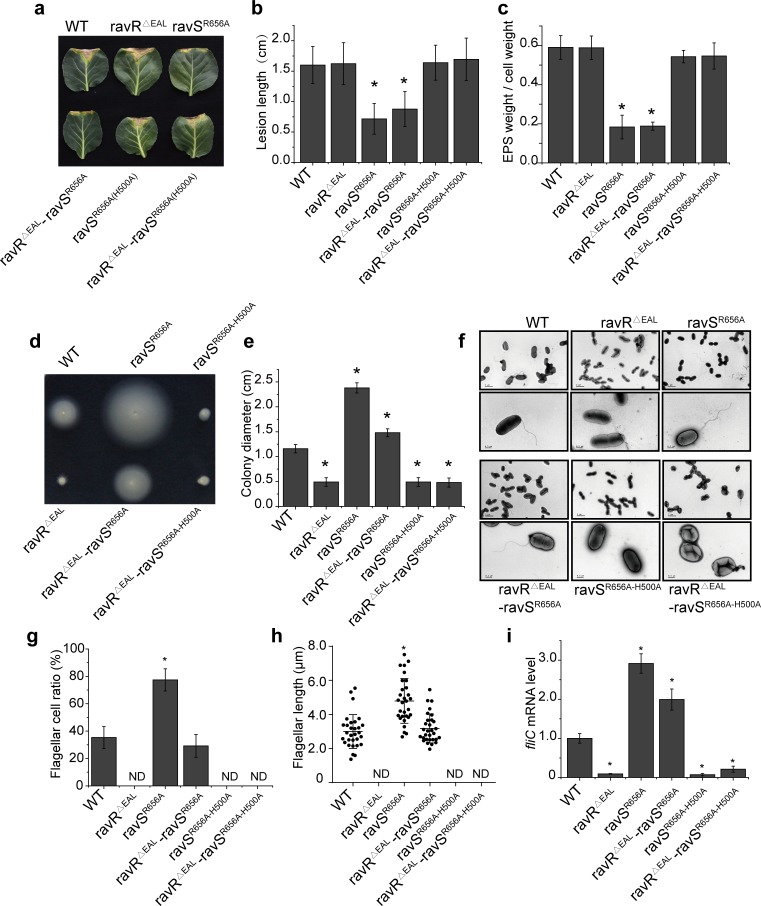 Fig 7