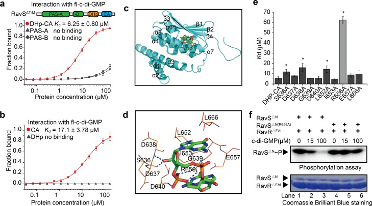 Fig 6