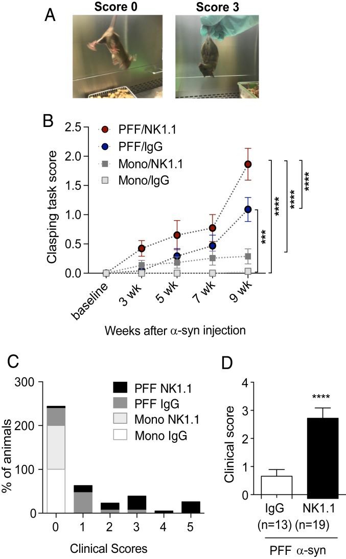 Fig. 6.