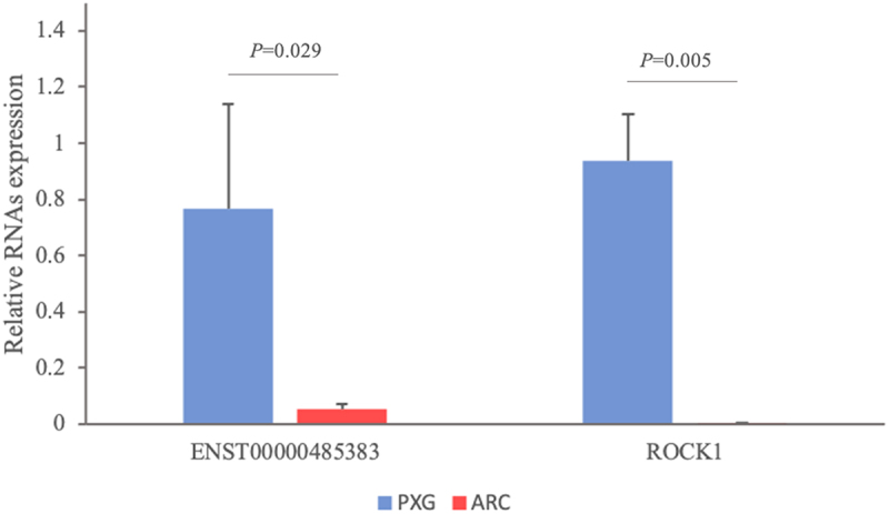 Figure 6.