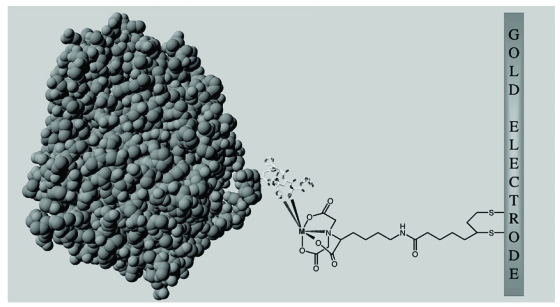 Fig. (2).