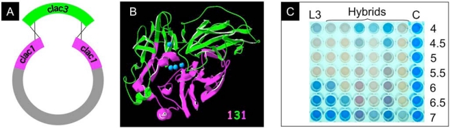 Fig. (3).