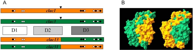 Fig. (4).