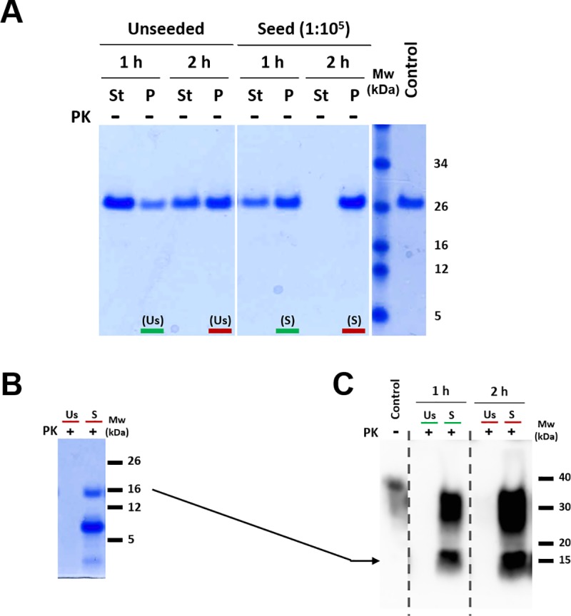 Fig 5