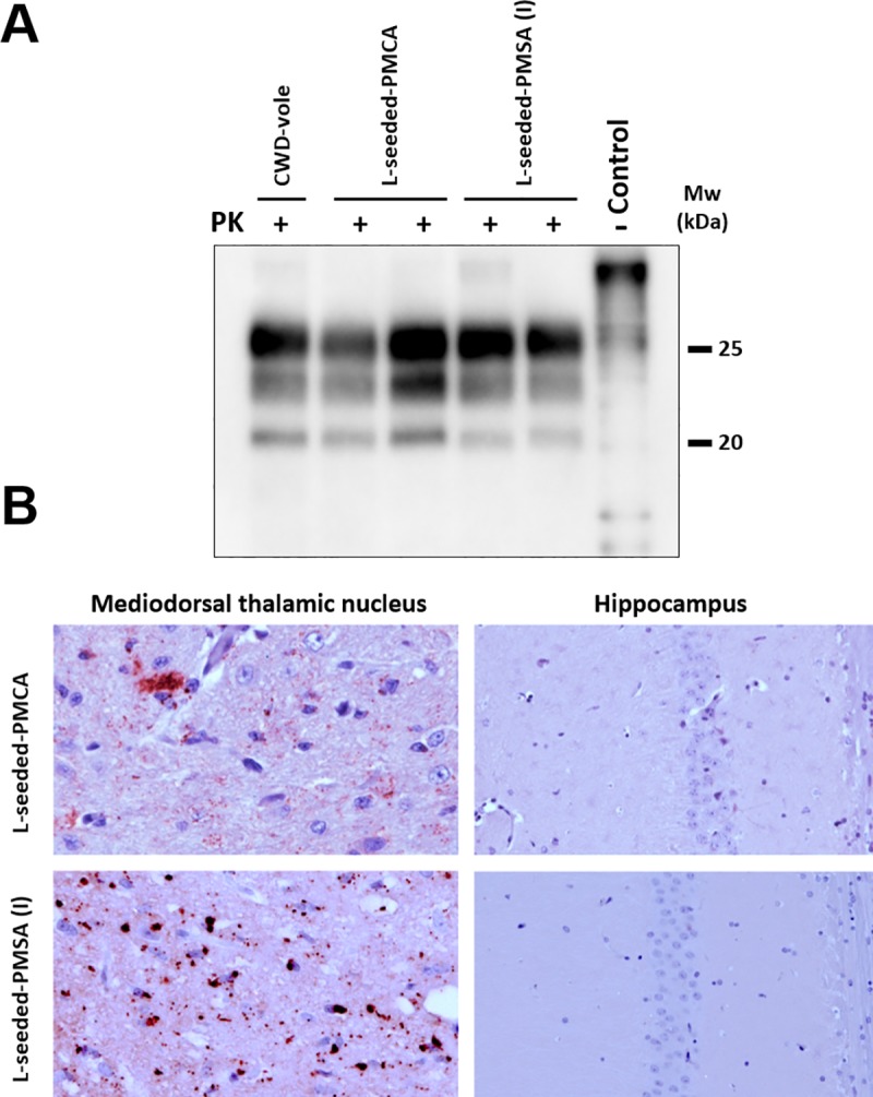 Fig 9