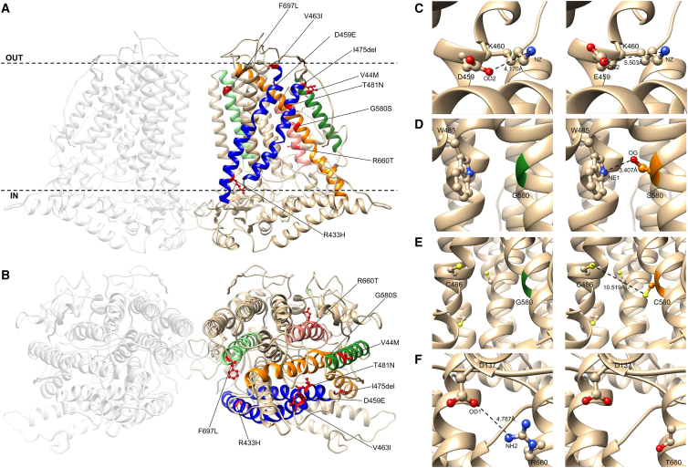 Figure 3