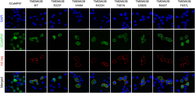 Figure 4