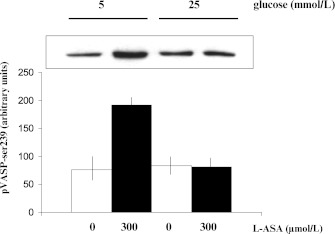FIG. 7.