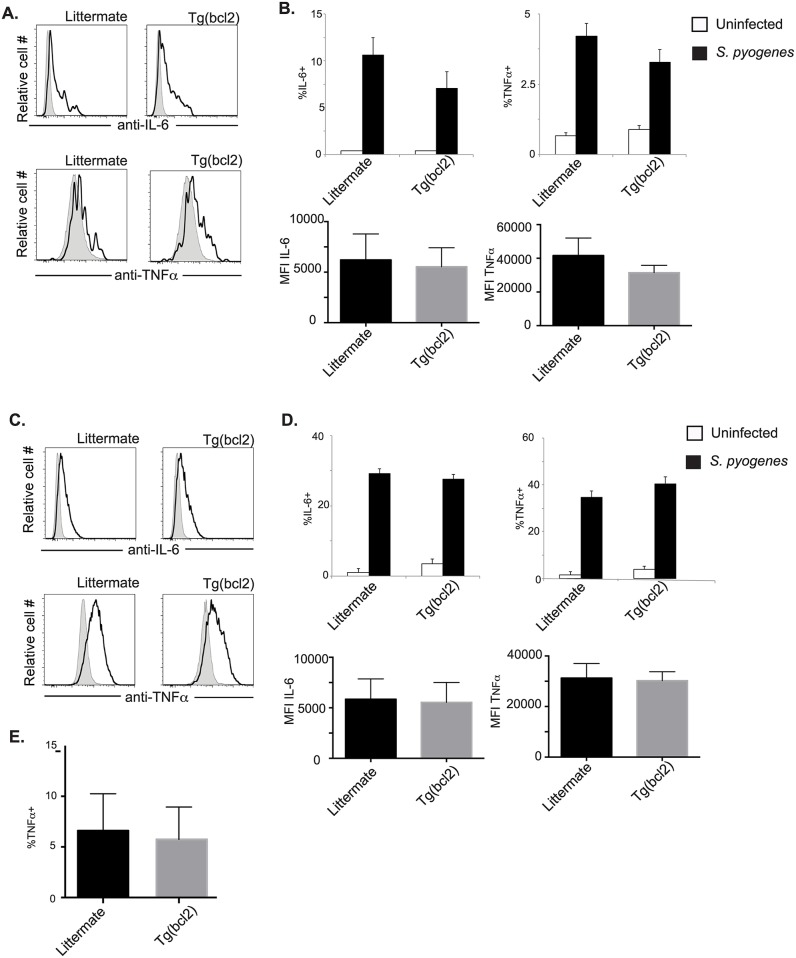 Fig 15