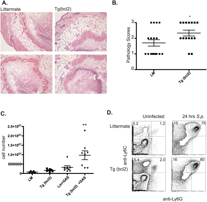 Fig 12