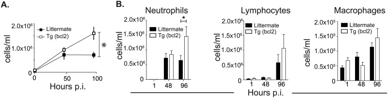 Fig 7