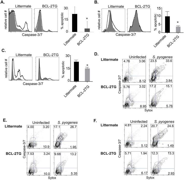 Fig 13