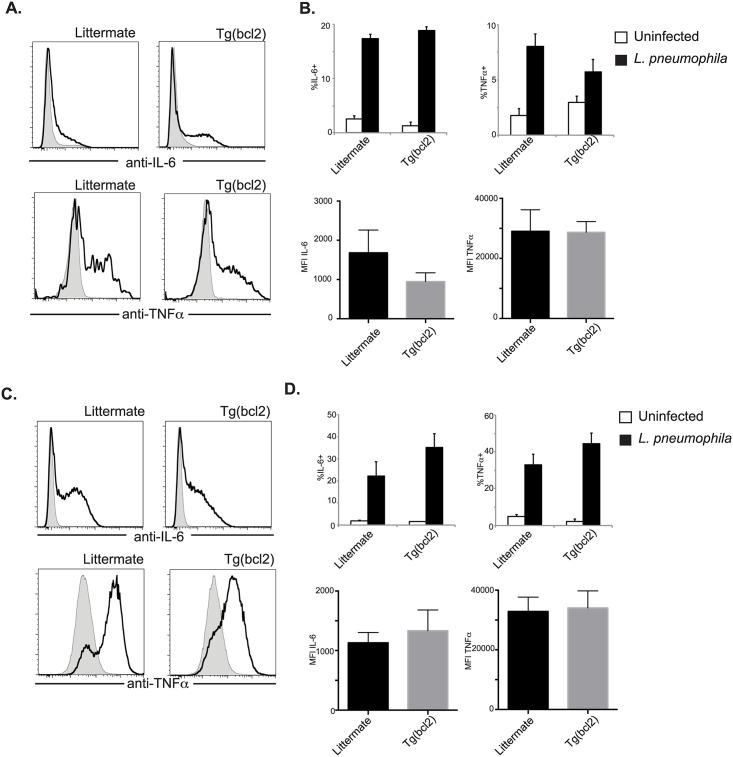 Fig 10