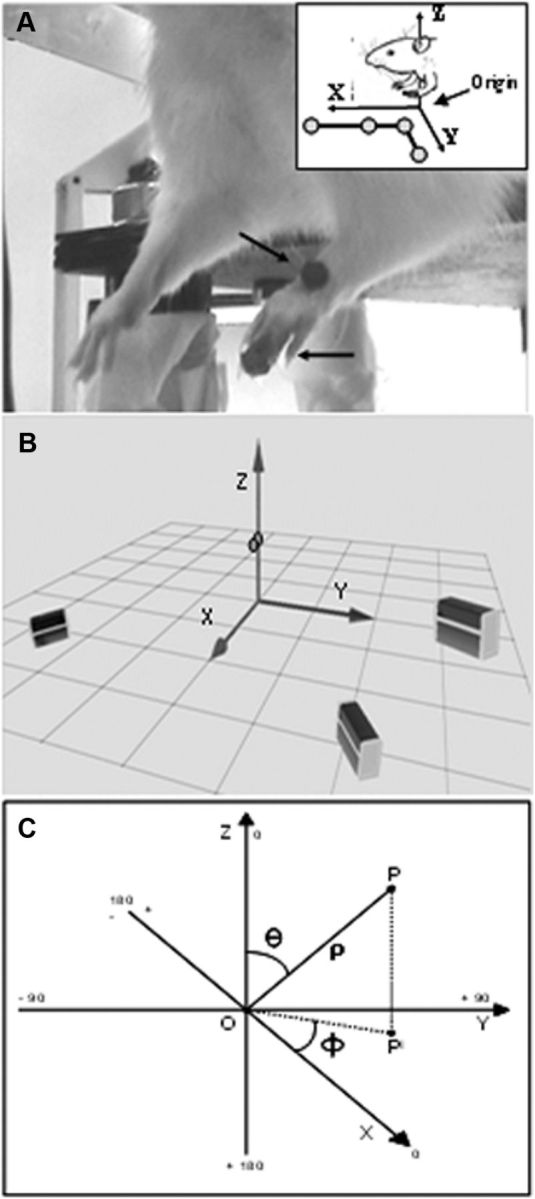 Figure 1.