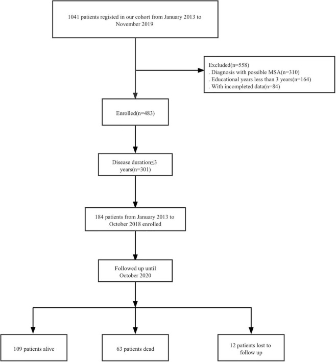 FIGURE 1