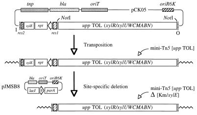 FIG. 4