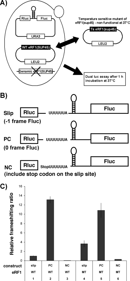 FIGURE 4.