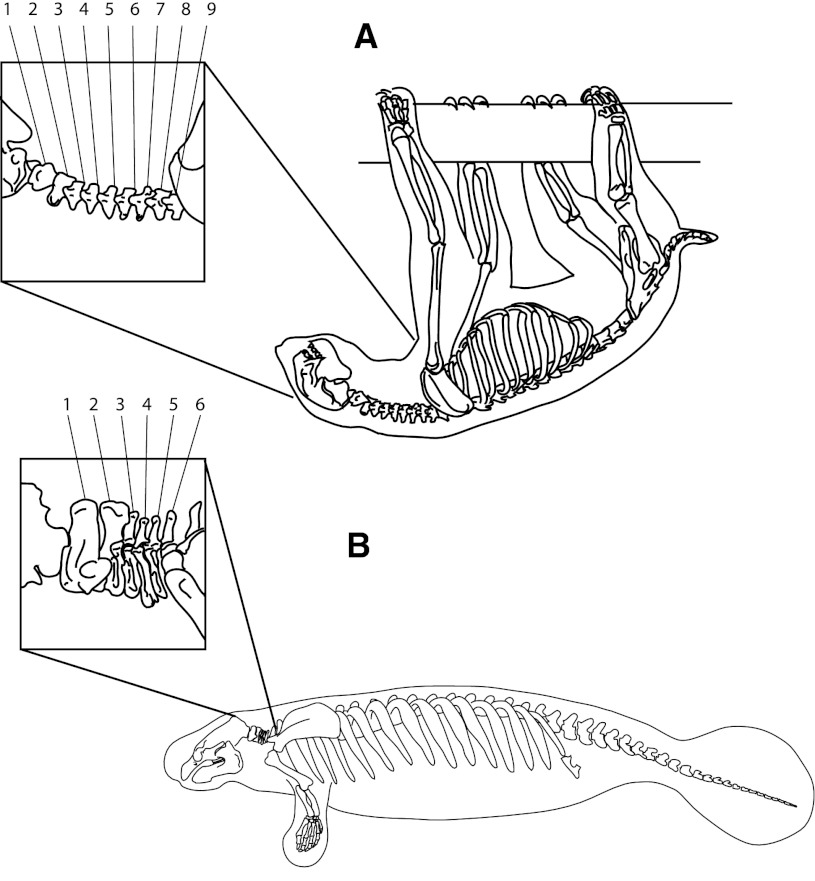 Fig. 2