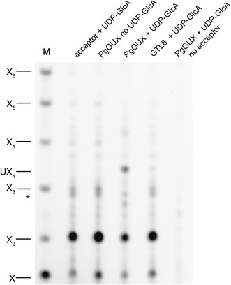 Fig. 3